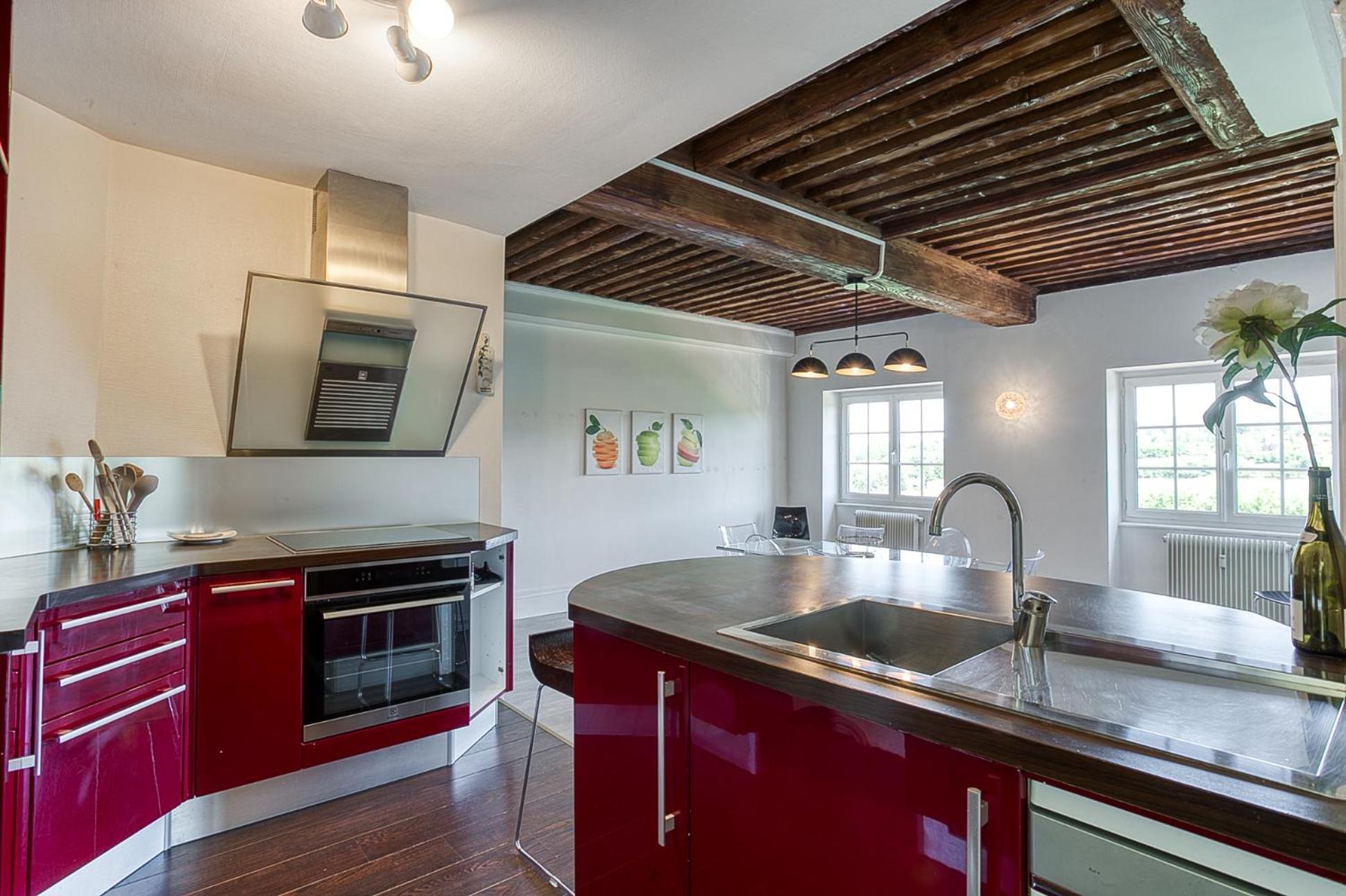 Sejourner Au Chateau De La Roue Grand Appartement Lissieu Bagian luar foto