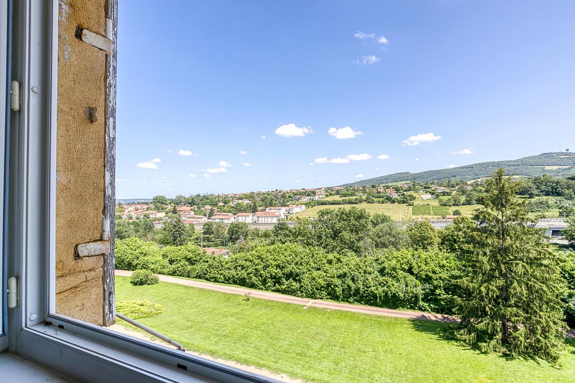 Sejourner Au Chateau De La Roue Grand Appartement Lissieu Bagian luar foto