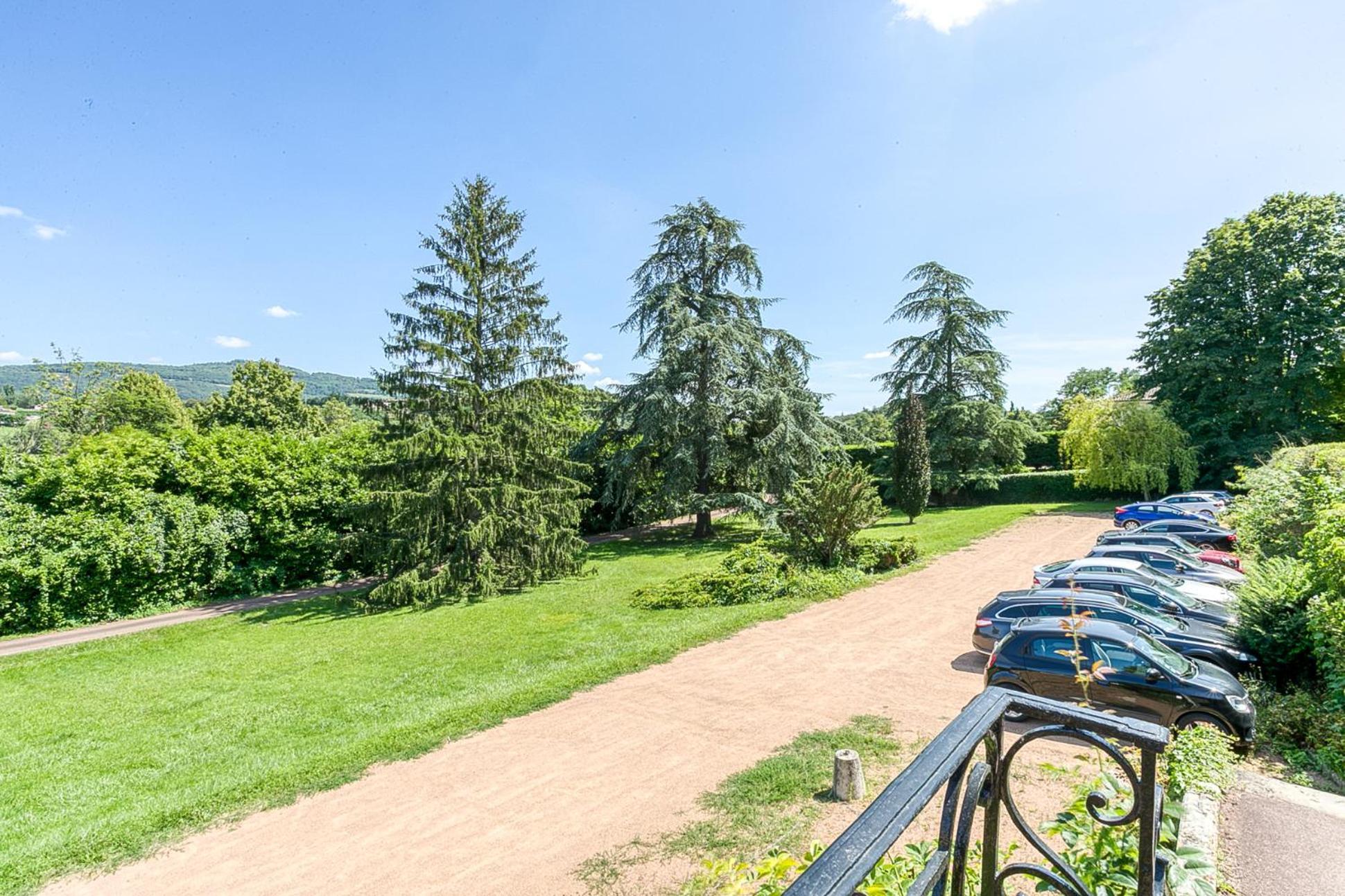 Sejourner Au Chateau De La Roue Grand Appartement Lissieu Bagian luar foto