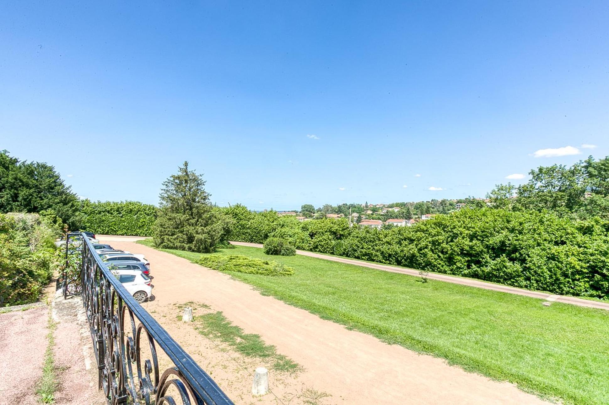 Sejourner Au Chateau De La Roue Grand Appartement Lissieu Bagian luar foto