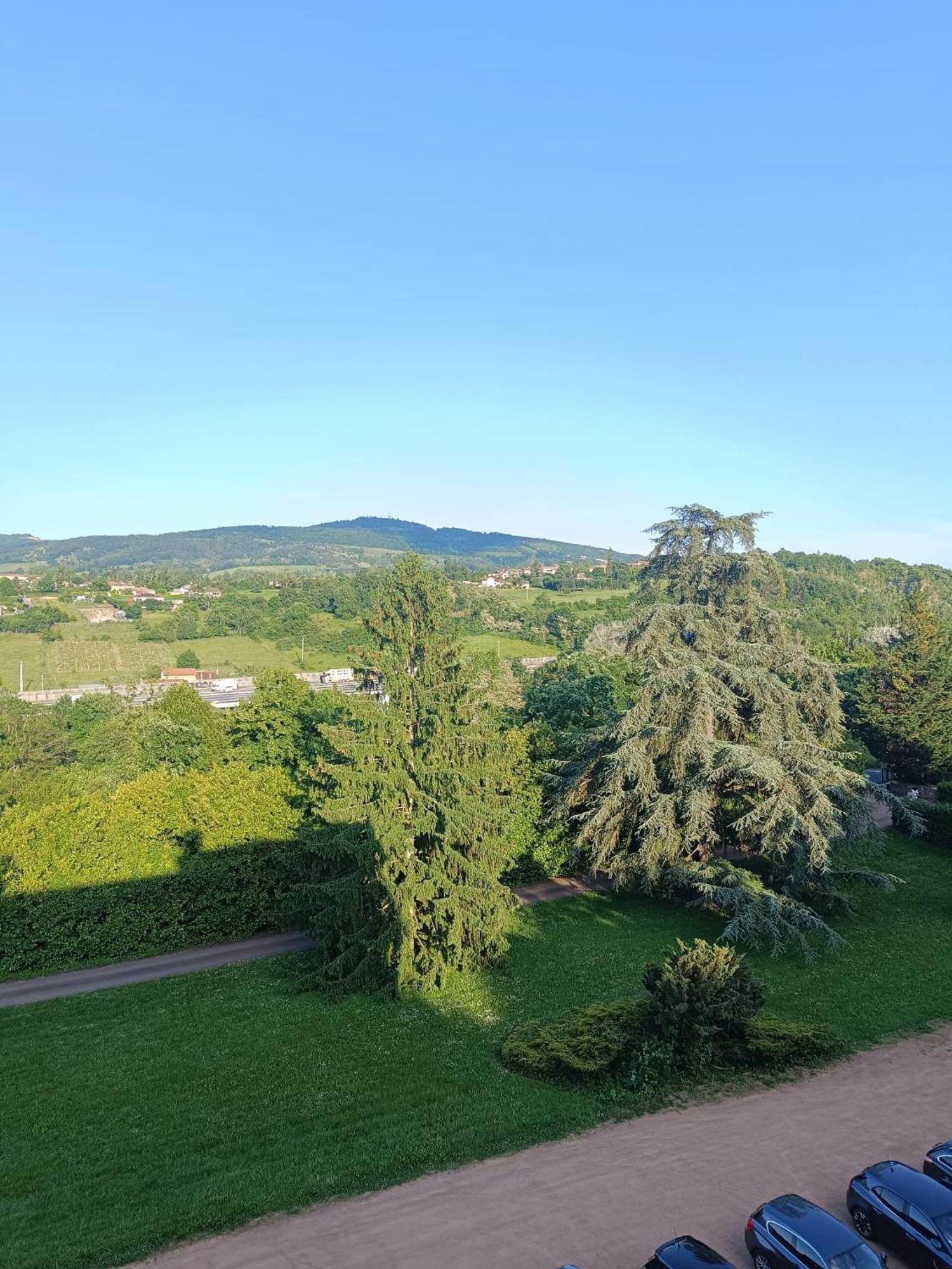 Sejourner Au Chateau De La Roue Grand Appartement Lissieu Bagian luar foto