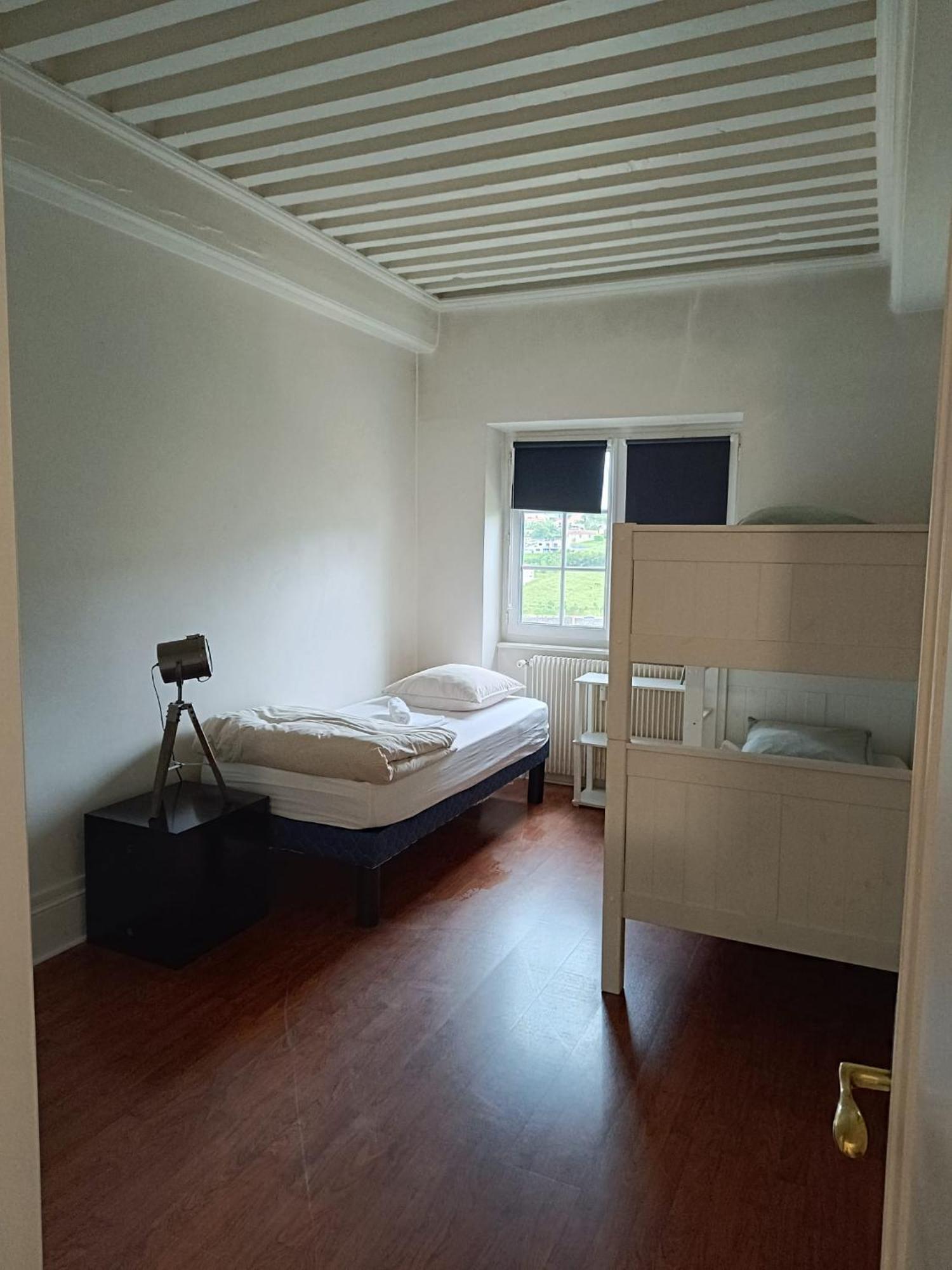 Sejourner Au Chateau De La Roue Grand Appartement Lissieu Bagian luar foto